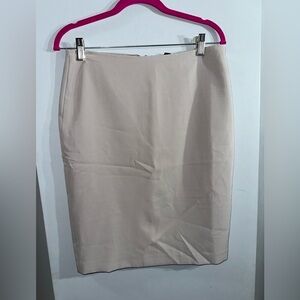 Adrianna Papell NWT skirt